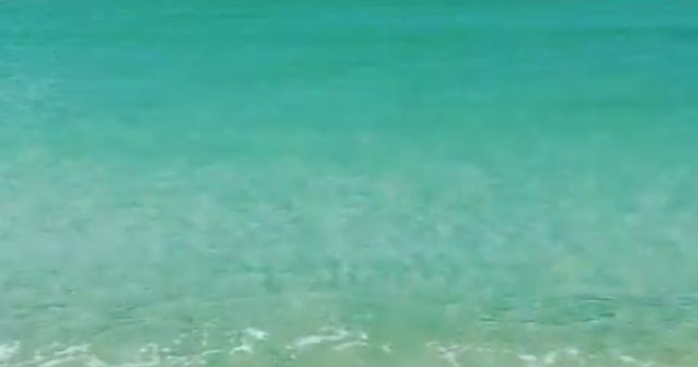 Dai 2.000 $ sa pleci in vacanta, dar nu stii unde! Ultima fita in SUA!