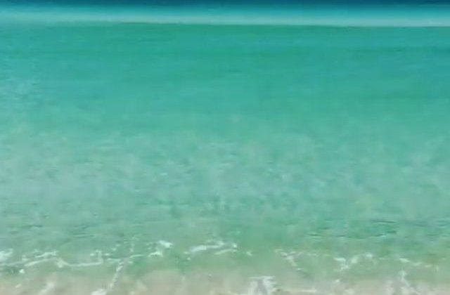 Dai 2.000 $ sa pleci in vacanta, dar nu stii unde! Ultima fita in SUA!