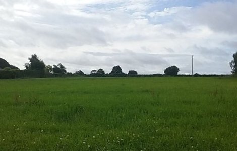 Prognoza meteo: Temperaturile cresc usor incepand de luni