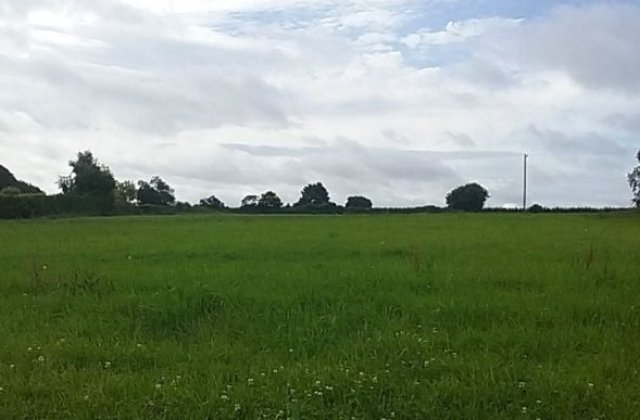 Prognoza meteo: Temperaturile cresc usor incepand de luni