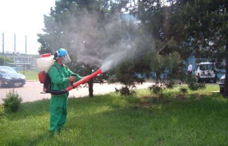 Primaria Capitalei incepe tratamentele de combatere a tantarilor