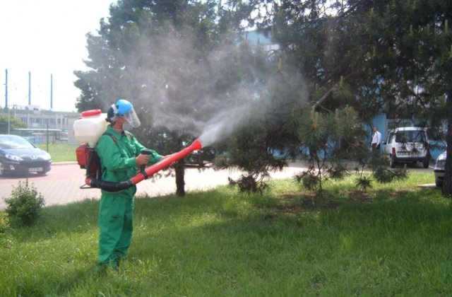 Primaria Capitalei incepe tratamentele de combatere a tantarilor in marile parcuri