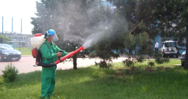 Primaria Capitalei incepe tratamentele de combatere a tantarilor