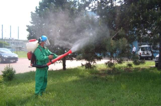 Primaria Capitalei incepe tratamentele de combatere a tantarilor in marile parcuri