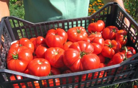 Legea supermarketurilor, promulgata. Ce se va schimba in marile magazine