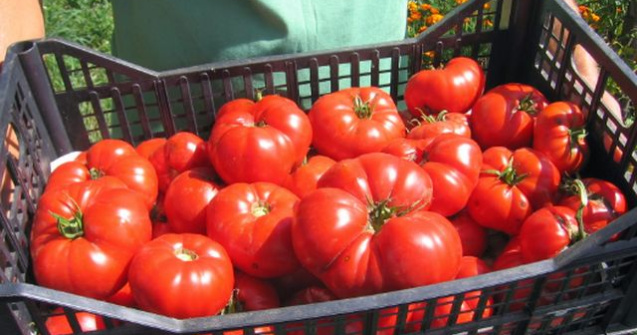 Legea supermarketurilor, promulgata. Ce se va schimba in marile magazine