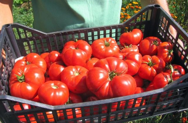 Legea supermarketurilor, promulgata. Ce se va schimba in marile magazine