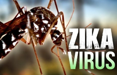 Virusul Zika, detectat in Romania