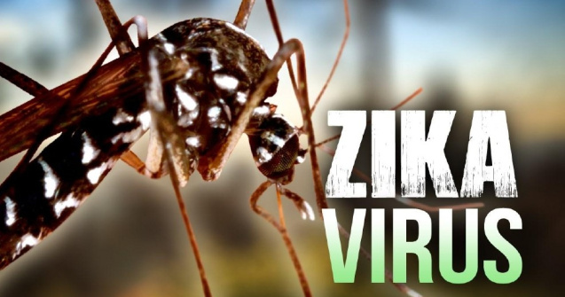 Virusul Zika, detectat in Romania