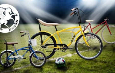 #PegasDor alina dorul de tara al romanilor din dispora