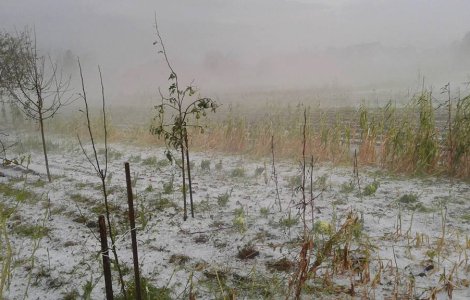  Top  Prapad in judetele Suceava si Botosani. Grindina a facut ravagii