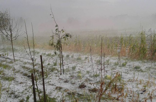 Prapad in judetele Suceava si Botosani. Grindina a facut ravagii