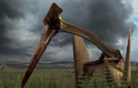 Cel mai mare dinozaur zburator din lume va fi dezvaluit la Muzeul Antipa