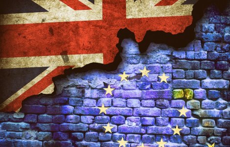 Oficial guvernamental: M. Britanie nu va invoca Articolul 50 in vederea iesirii din UE