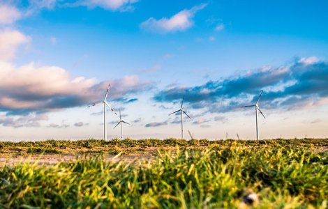 Model pentru Romania: Energia eoliana, solutia inteligenta folosita de tarile din Vest