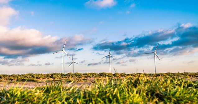 Model pentru Romania: Energia eoliana, solutia inteligenta folosita de tarile din Vest