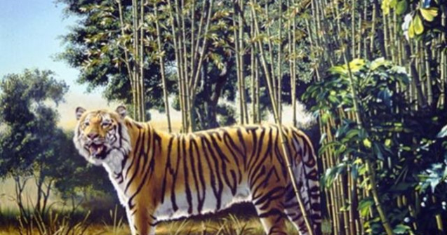 Testul pe care putini il trec. Cati tigri vezi in imagine?