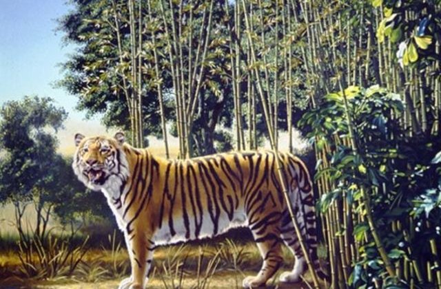 [FOTO] Testul pe care putini il trec. Cati tigri vezi in imagine?