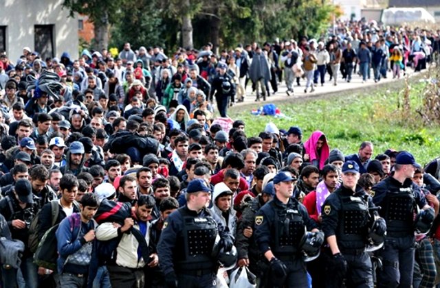 Migranti in greva foamei la granita Serbiei cu Ungaria. Cer sa fie lasati sa intre in UE