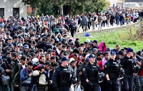 Migranti in greva foamei la granita Serbiei cu Ungaria