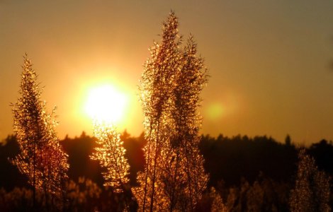 Atentionare de canicula si disconfort termic in zilele care urmeaza