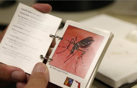 Al treilea caz de infectare cu Zika, la un barbat din Cluj-Napoca