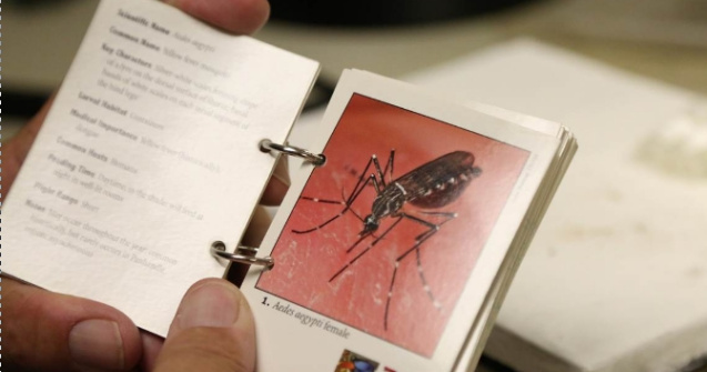 Al treilea caz de infectare cu Zika, la un barbat din Cluj-Napoca