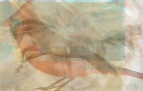 Puzzle imposibil: cate animale sunt in aceasta imagine?