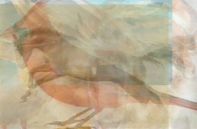 [FOTO] Puzzle imposibil: cate animale sunt in aceasta imagine?