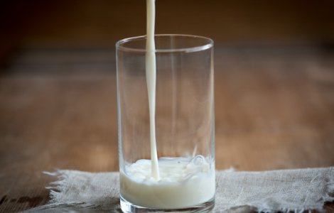 Alimentul viitorului. Este de patru ori mai bun decat laptele de vaca