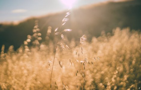 Prognoza meteo: Cum va fi vremea in weekend