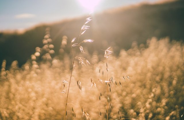 Prognoza meteo: Cum va fi vremea in weekend