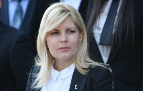 Udrea: Eu despre mine cred ca am fost unul dintre politicienii buni