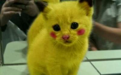 Ziua internationala a...