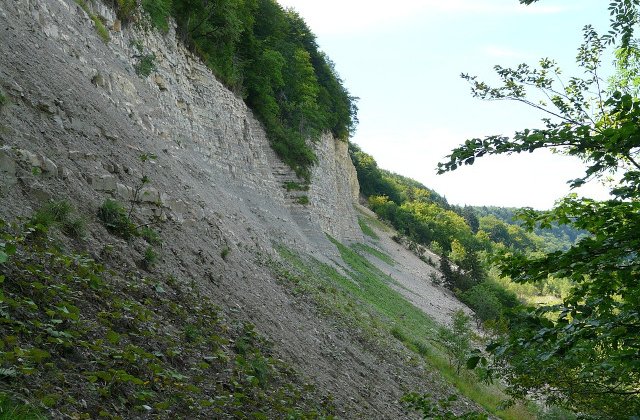 Alunecarile de teren fac ravagii in Mexic! Cel putin 45 de morti