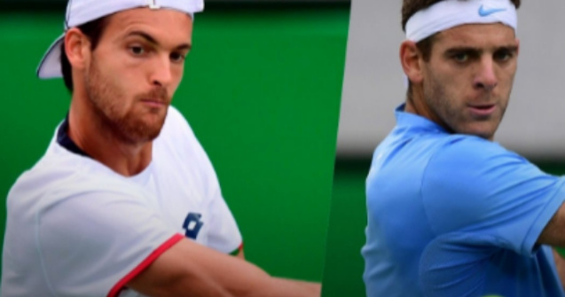  Video  Doi spectatori s-au batut in timpul meciului Del Potro-Sousa