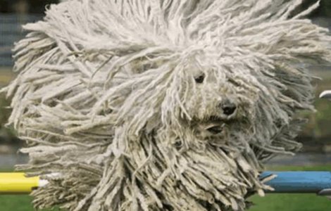  Top  Nu o sa-ti vina sa crezi ca exista! Fotografii incredibile