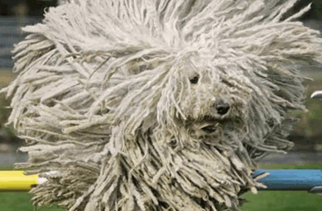 Nu o sa-ti vina sa crezi ca exista! Fotografii incredibile care te vor soca