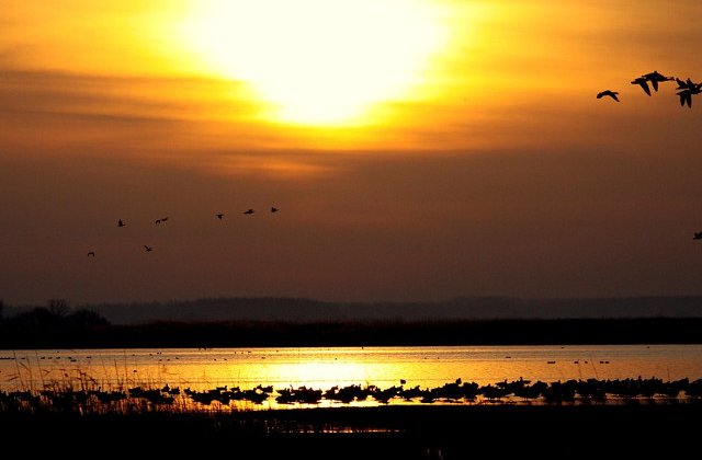 NASA: Iulie 2016, record de caldura