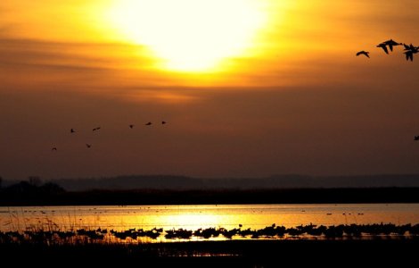 NASA: Iulie 2016, record de caldura