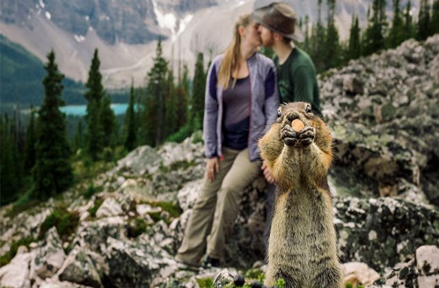 [FOTO] O veverita a "stricat" sedinta foto a unui cuplu logodit