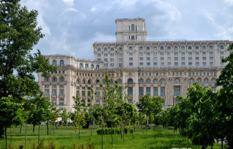  Video  Unde au lucrat parlamentarii inainte de a ajunge senatori si deputati