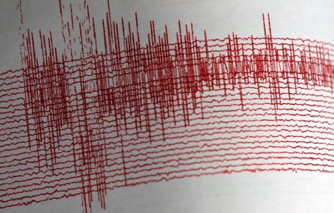 Cutremur cu magnitudinea de 3, 8 grade in judetul Vrancea