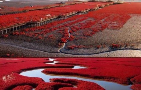  Top  Top 7 cele mai IZOLATE locuri de pe Glob pe care turistii doresc sa le viziteze