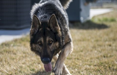 Alerta in Prahova dupa ce un turist din Bucuresti a disparut. Barbatul a lasat un bilet de adio