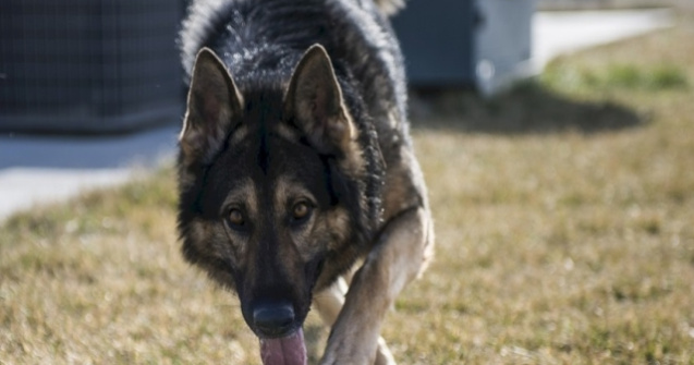 Alerta in Prahova dupa ce un turist din Bucuresti a disparut. Barbatul a lasat un bilet de adio