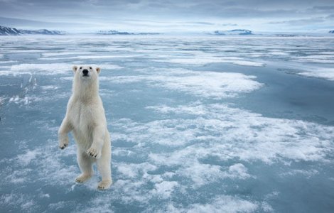 Avertismentul unui cercetator