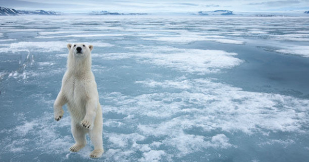 Avertismentul unui cercetator