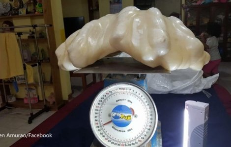 Cea mai mare perla din lume, pastrata timp de 10 ani sub pat