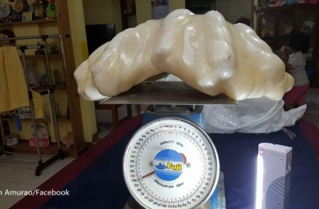 Cea mai mare perla din lume, pastrata timp de 10 ani sub pat